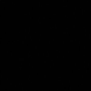 Meet your Posher, Naysia